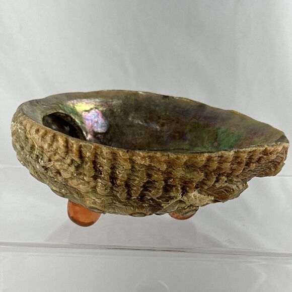 Vintage MCM Large Abalone Shell Footed Bowl Dish Smudge Stick Candy Trinket - Picture 7 of 8